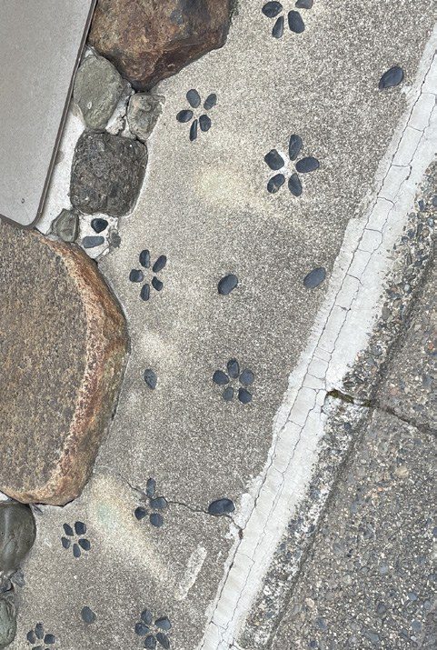 Paw prints set into the concrete surface
