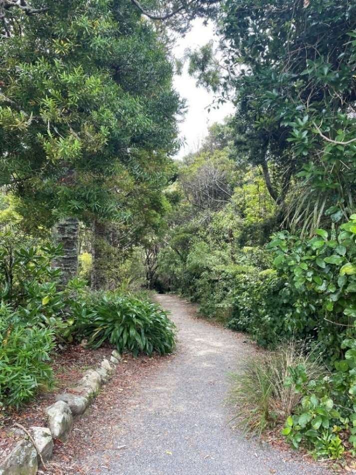 A path through the bush at Ōtari-Wilton's Bush